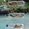 FlipNomad’s Photo Thursday – Lizard in a Bottle