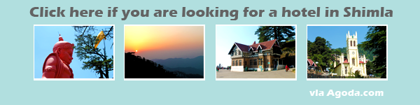 Shimla