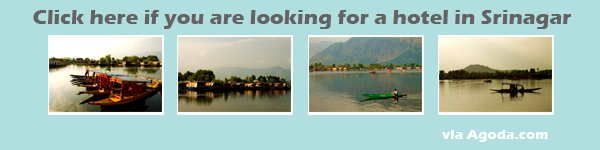 Srinagar