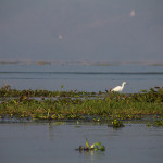 Inle Lake Boat Tour Chronicles Part 1 – Arranging Our Trip