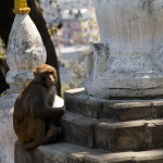 Swayambunath – Temple on a Hill in Kathmandu Valley