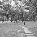 Benchasiri Park in Black and White