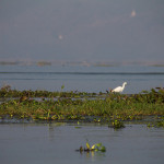 Inle Lake Boat Tour Chronicles Part 1 – Arranging Our Trip