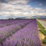 Driving Through France on your Next Holiday