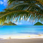 Getting into the Aloha Spirit