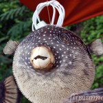 FlipNomad’s Photo Thursday – Puffer Fish Lamp