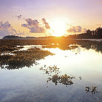 The Best Natural Medicine Retreats Around the World